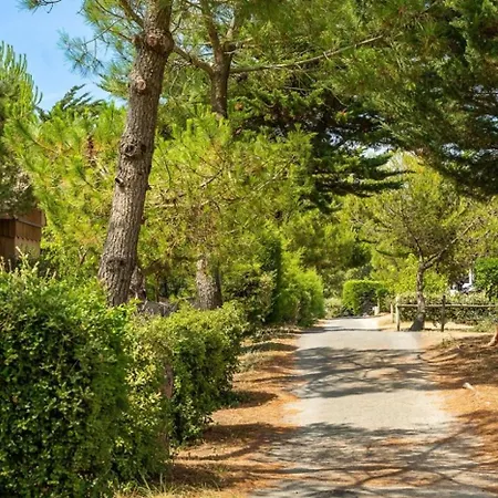 3 Etoiles - Parc Aquatique - Ccaff0b Parque de Campismo