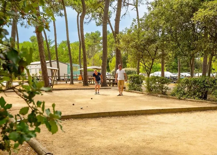 3 Etoiles - Parc Aquatique - Ccaff0b Kemping *